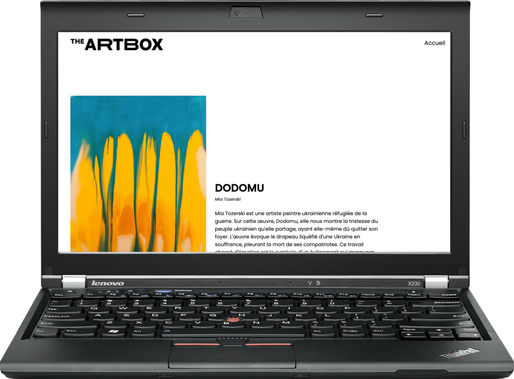 The art box ordi détail